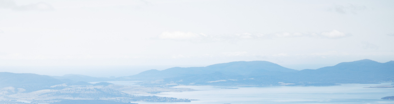 image of the Hobart landscape from the top of kunanyi / Mt Wellington