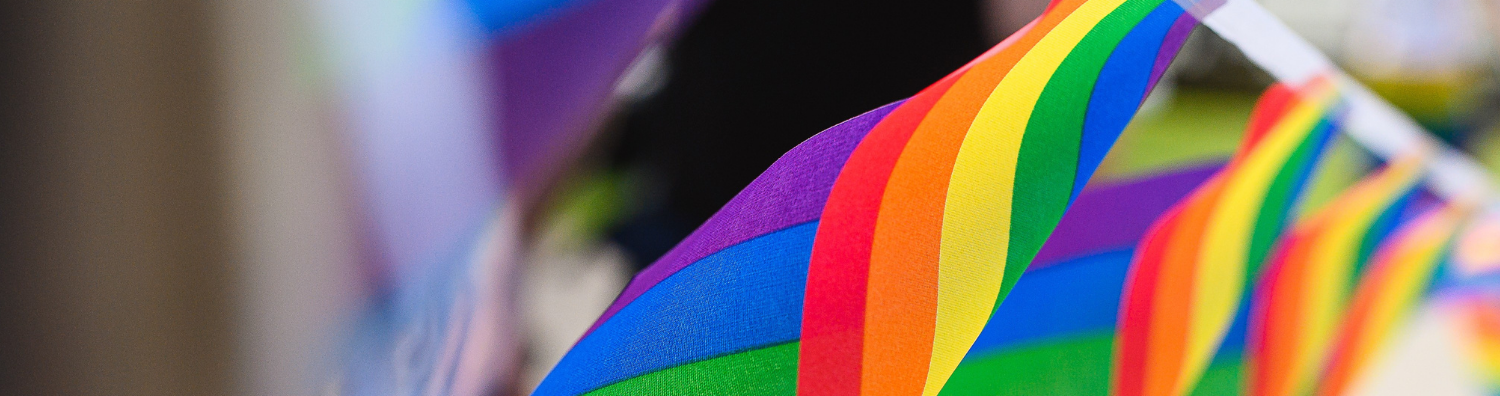 I-LEAD Pride promotional image., A blurred image of rainbow flag bunting stretching from the top left to middle right area of an outdoor scene